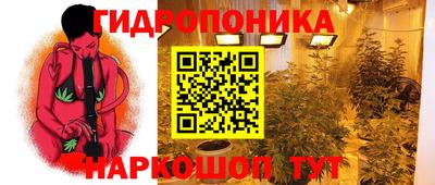 ГАЛЛЮЦИНОГЕННЫЕ ГРИБЫ Кунгур