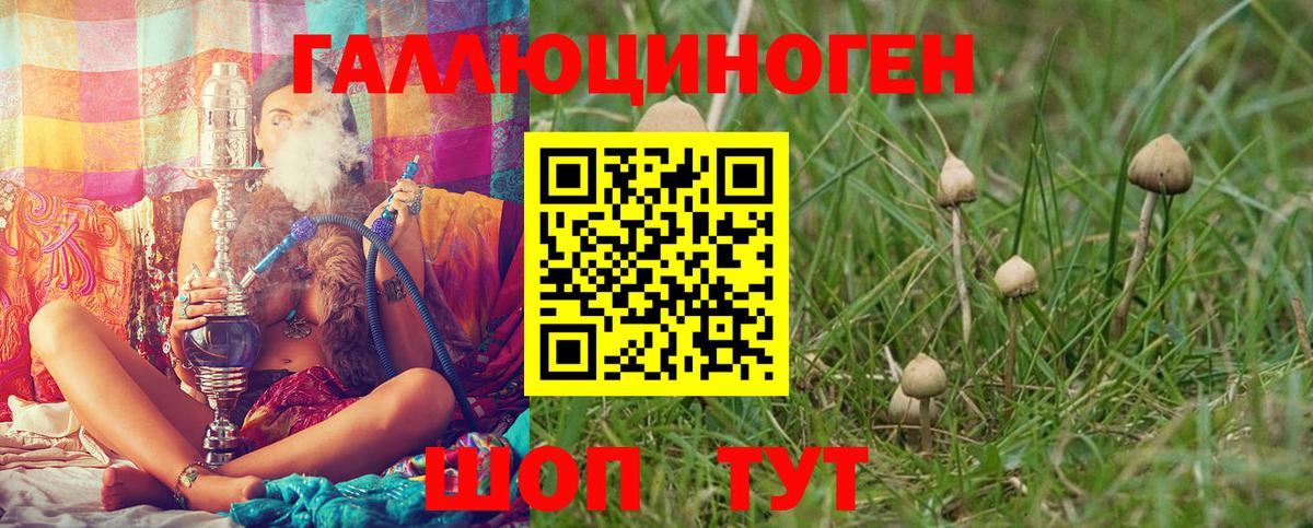 Псилоцибиновые грибы Magic Shrooms Кемерово