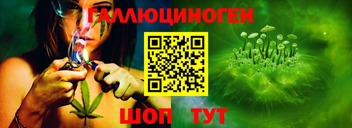 Псилоцибиновые грибы GOLDEN TEACHER  Вход с VPN  Кемерово 