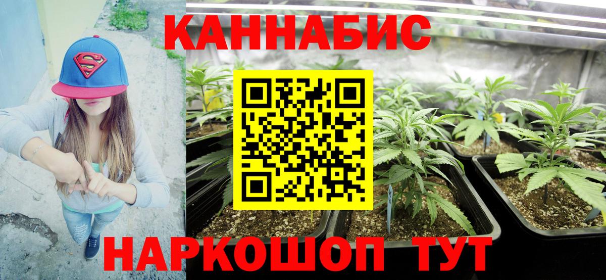 Каннабис планчик Кемерово